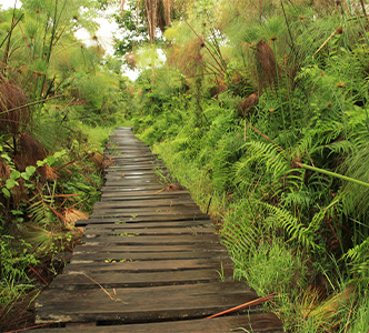Adventure Walk